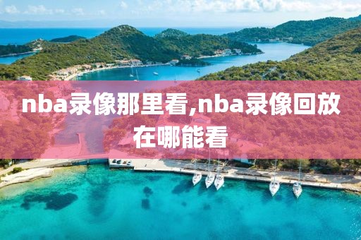 nba录像那里看,nba录像回放在哪能看