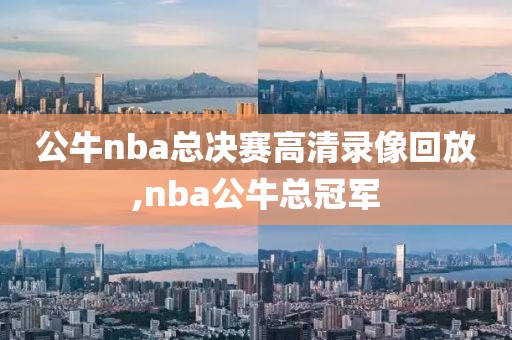 公牛nba总决赛高清录像回放,nba公牛总冠军