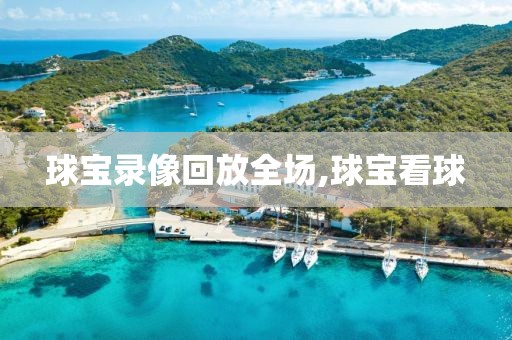 球宝录像回放全场,球宝看球