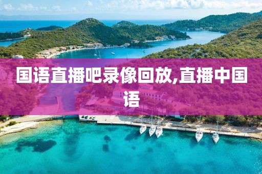 国语直播吧录像回放,直播中国语