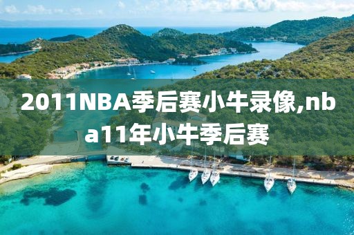 2011NBA季后赛小牛录像,nba11年小牛季后赛