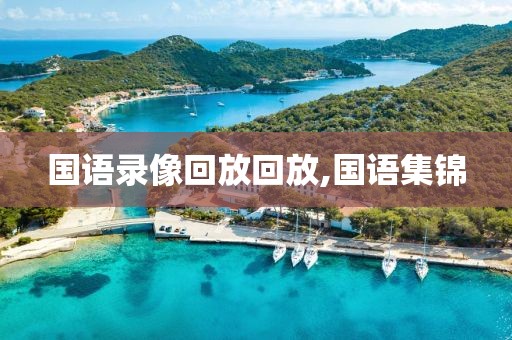 国语录像回放回放,国语集锦