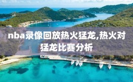 nba录像回放热火猛龙,热火对猛龙比赛分析