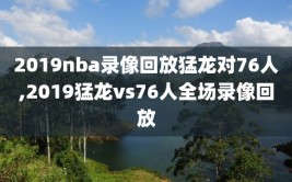 2019nba录像回放猛龙对76人,2019猛龙vs76人全场录像回放