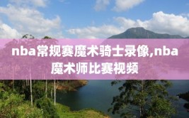 nba常规赛魔术骑士录像,nba魔术师比赛视频
