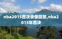 nba2015西决录像回放,nba2015年西决