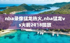 nba录像猛龙热火,nba猛龙vs火箭2018回放