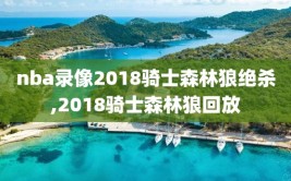 nba录像2018骑士森林狼绝杀,2018骑士森林狼回放