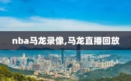 nba马龙录像,马龙直播回放
