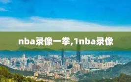 nba录像一拳,1nba录像