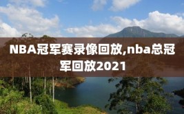 NBA冠军赛录像回放,nba总冠军回放2021