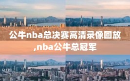 公牛nba总决赛高清录像回放,nba公牛总冠军