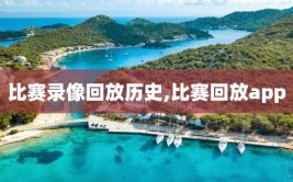 比赛录像回放历史,比赛回放app
