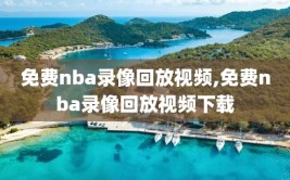 免费nba录像回放视频,免费nba录像回放视频下载