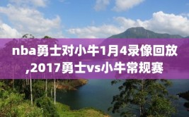 nba勇士对小牛1月4录像回放,2017勇士vs小牛常规赛