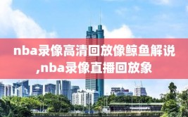 nba录像高清回放像鲸鱼解说,nba录像直播回放象
