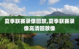 夏季联赛录像回放,夏季联赛录像高清回放像
