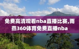 免费高清观看nba直播比赛,雨燕360体育免费直播nba