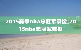 2015赛季nba总冠军录像,2015nba总冠军数据