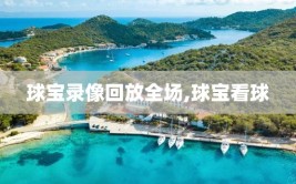 球宝录像回放全场,球宝看球
