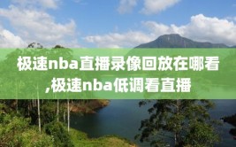 极速nba直播录像回放在哪看,极速nba低调看直播