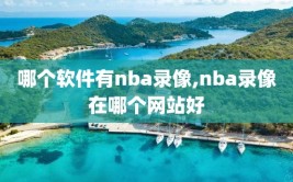 哪个软件有nba录像,nba录像在哪个网站好