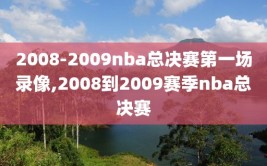 2008-2009nba总决赛第一场录像,2008到2009赛季nba总决赛