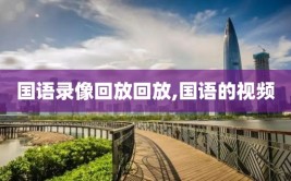 国语录像回放回放,国语的视频
