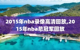 2015年nba录像高清回放,2015年nba总冠军回放