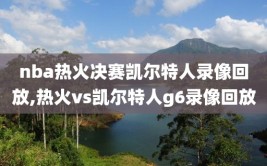 nba热火决赛凯尔特人录像回放,热火vs凯尔特人g6录像回放