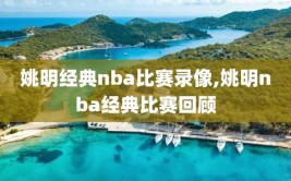 姚明经典nba比赛录像,姚明nba经典比赛回顾