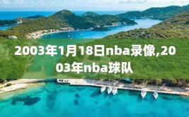 2003年1月18日nba录像,2003年nba球队