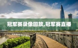 冠军赛录像回放,冠军赛直播