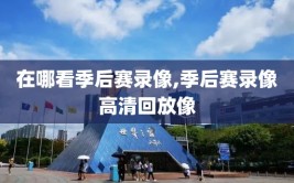 在哪看季后赛录像,季后赛录像高清回放像