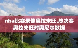 nba比赛录像奥拉朱旺,总决赛奥拉朱旺对奥尼尔数据