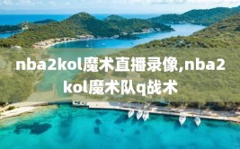 nba2kol魔术直播录像,nba2kol魔术队q战术