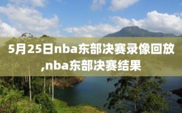 5月25日nba东部决赛录像回放,nba东部决赛结果